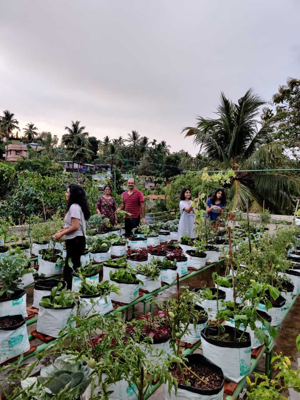 indian family in vegetable garden at home