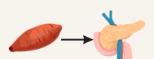 sweet-potato-pancreas-food