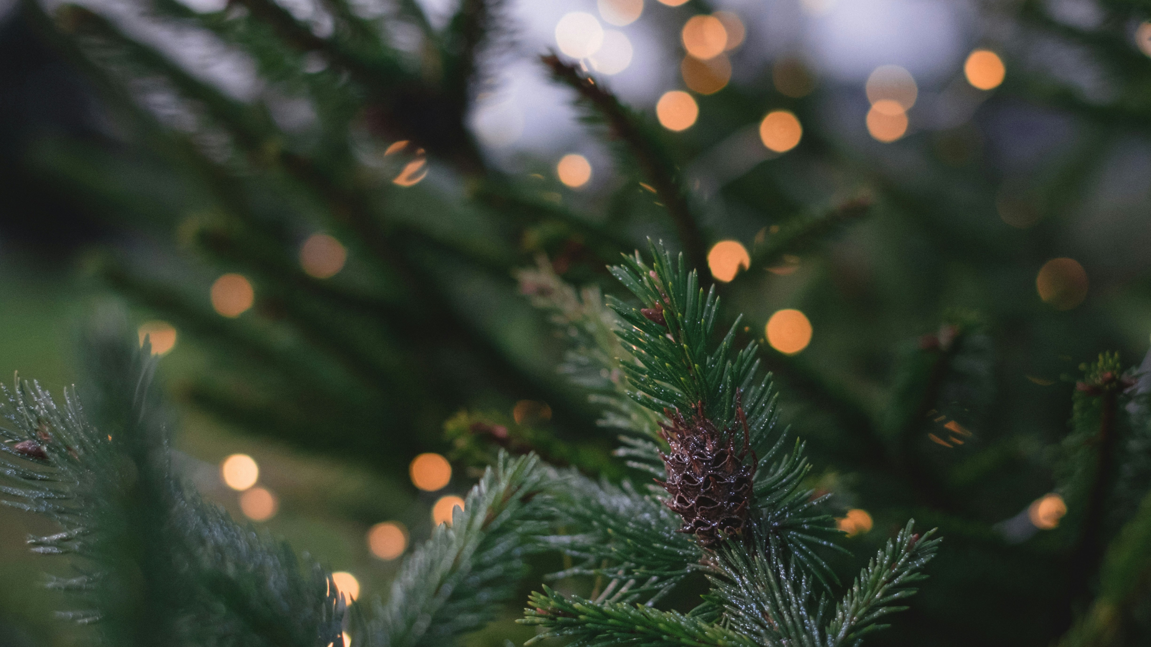 How to Reduce Stress and Find Your Calm During the Holiday Season